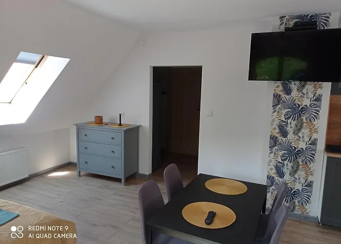 Brzozowe Zacisze Guest house Duszniki Zdroj