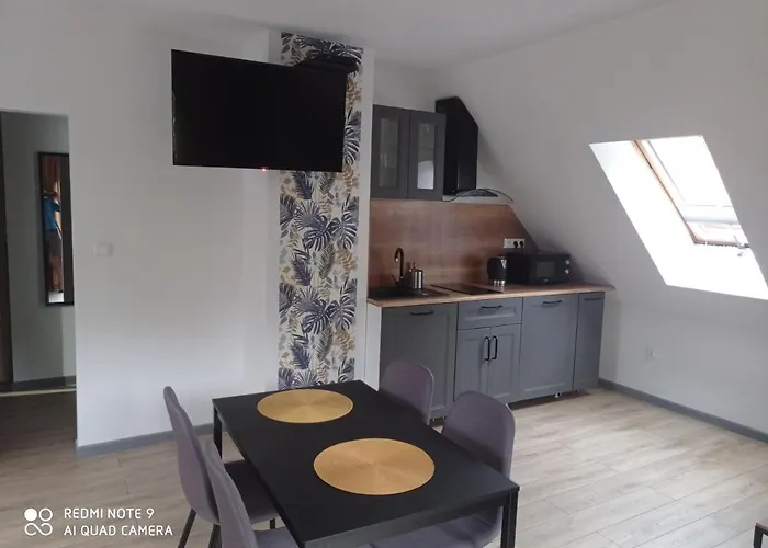 Brzozowe Zacisze Duszniki Zdroj